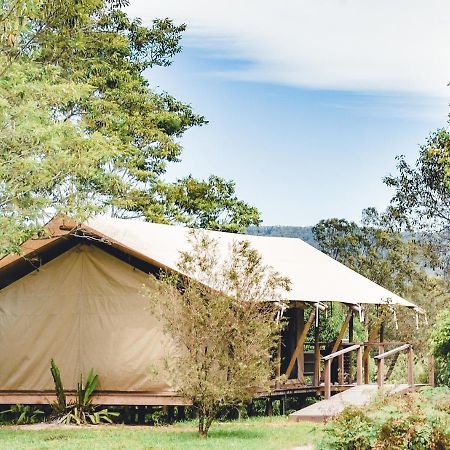 Silk Pavilions Glamping Mount Burrell Kültér fotó