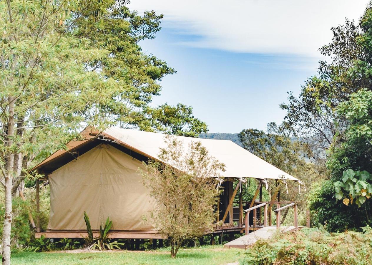 Silk Pavilions Glamping Mount Burrell Kültér fotó