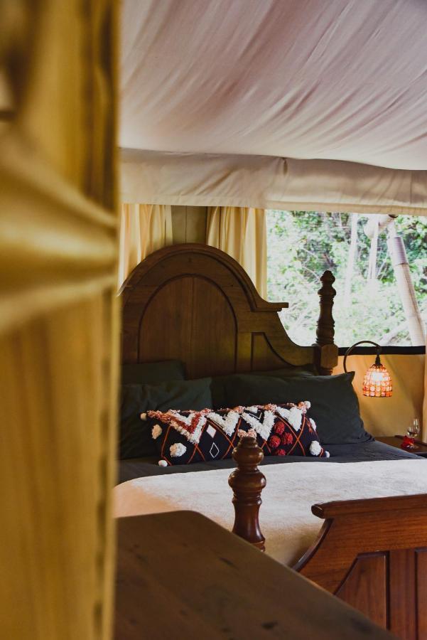 Silk Pavilions Glamping Mount Burrell Kültér fotó