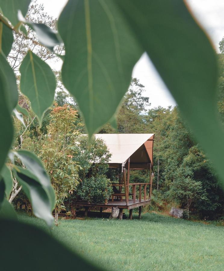 Silk Pavilions Glamping Mount Burrell Kültér fotó