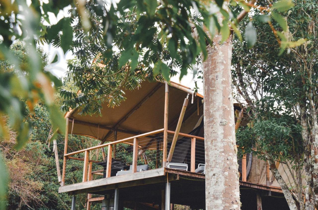 Silk Pavilions Glamping Mount Burrell Kültér fotó